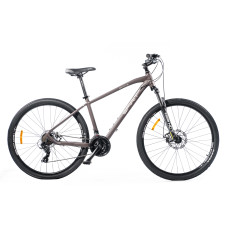 Велосипед Spirit Echo 9.1 29", рама M, кофейный, 2021 (арт. 52029189145)